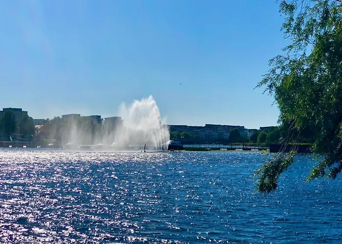 The River 31, Baritoni *